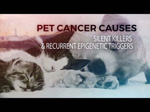 The Truth About PET Cancer