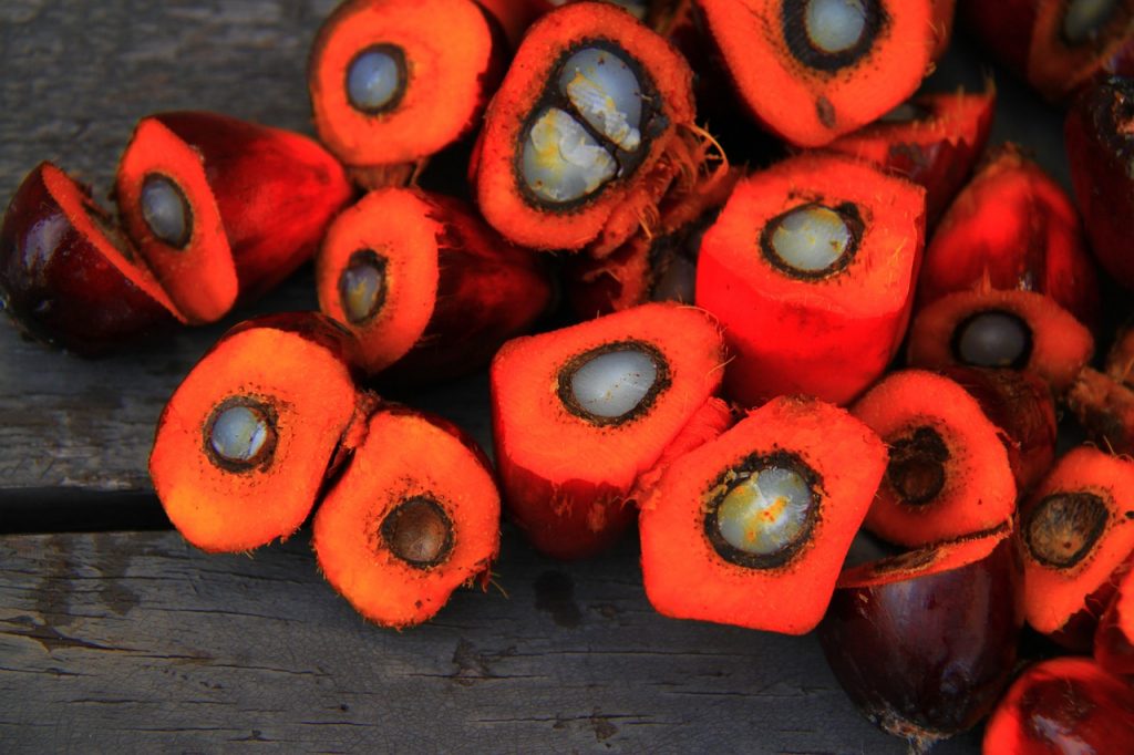 Why we should stop using palm oil products